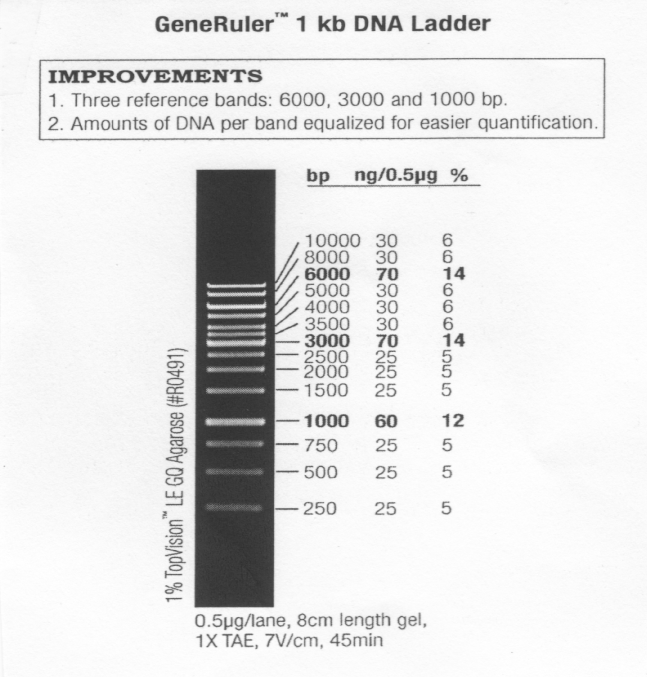 Thermo Scientific GeneRuler Kb DNA Ready To Use 250 56 OFF Thermo Scientific GeneRuler Kb DNA Ready To Use 250 56 OFF